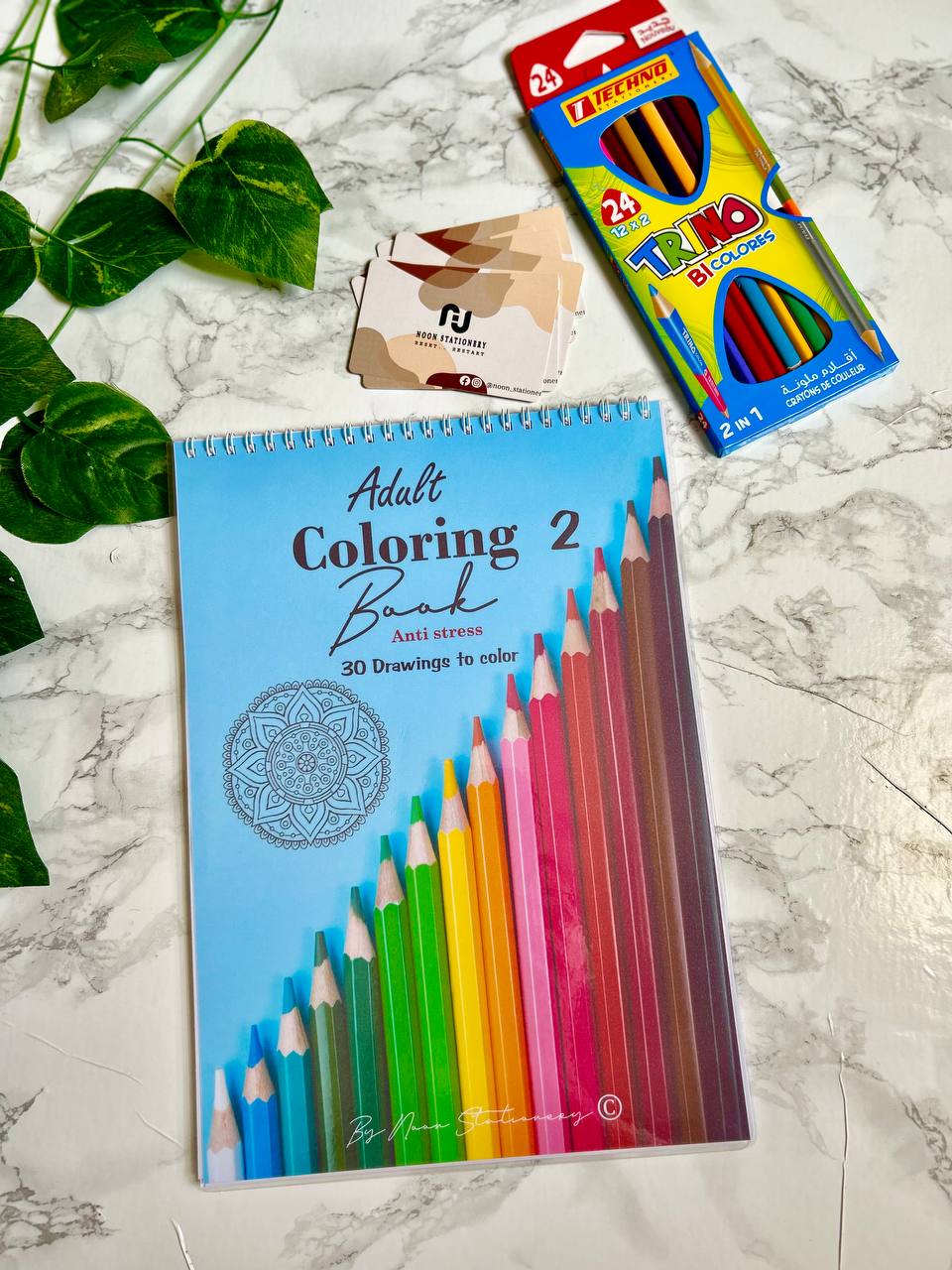 Adult coloring book 2
