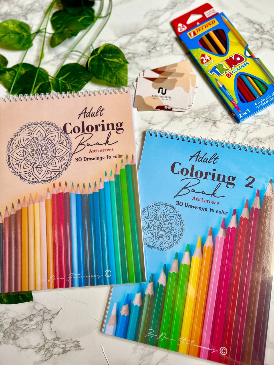 Adult coloring book 2